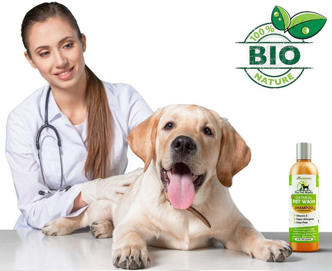 Image of Natural Oatmeal Shampoo+Conditioner In One For Dogs & Cats - Pro Pet Works