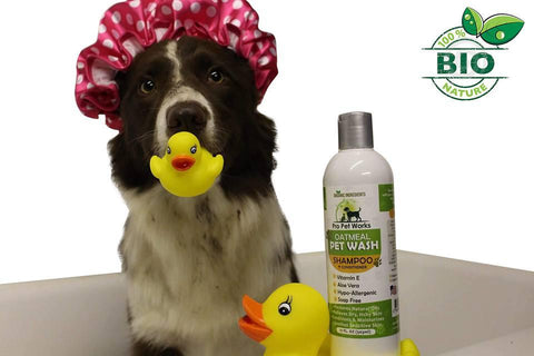 Image of Natural Oatmeal Shampoo+Conditioner In One For Dogs & Cats - Pro Pet Works