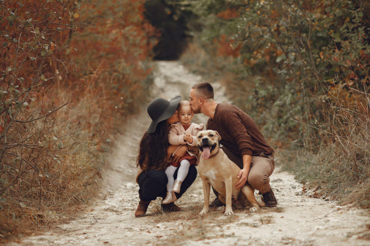 Dog Breeds Which Make the Cutest Family Pet