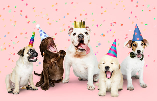 15 Popular Amazing List of Dog Breeds You Will Love Knowing About